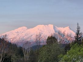A mountain covered in snow with trees in the foreground at Kune Crib - Ohakune Holiday Home near Turoa