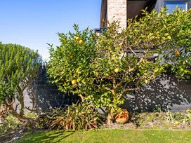 A garden with a lemon tree and a shrub at The Sandcastle - Papamoa Holiday Apartment, Papamoa