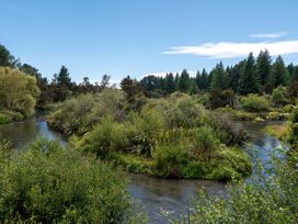 A river surrounded by trees and bushes at Bellbird Cottage - Lake Taupo Bach in Waitahanui