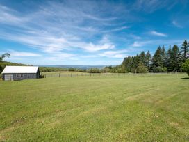An outdoor area with a shed, grass, and trees at Pukawa Country Lodge - Pukawa Bay