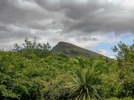 Rees on Reid - Arrowtown Holiday Home -  - 1032698 - thumbnail photo 4