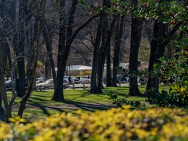 A view of trees and parked cars with people riding bicycles at Merioneth Retreat - Arrowtown Holiday Home Abel Tasman National Park