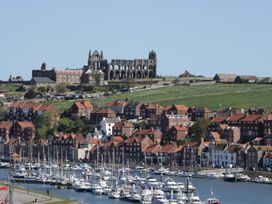 Wren - North Yorkshire (incl. Whitby) - 1056519 - thumbnail photo 20