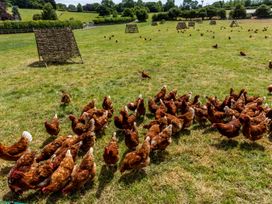 2 The Hen House @ Nables Farm - Somerset & Wiltshire - 1066865 - thumbnail photo 22
