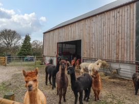 Colomendy Alpaca Farm - Coach House - North Wales - 1072225 - thumbnail photo 2