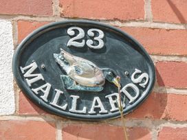 Mallards - Devon - 1078701 - thumbnail photo 5