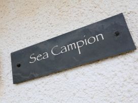 Sea Campion - Devon - 1079396 - thumbnail photo 2