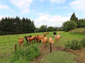 Toberlonagh - County Wicklow - 1080963 - thumbnail photo 21
