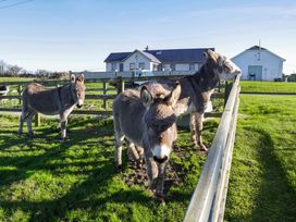 Ballymac 1 - County Wexford - 1092843 - thumbnail photo 47