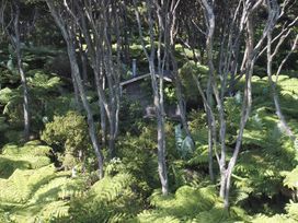 Frosty's Retreat - Great Barrier Island Home -  - 1095426 - thumbnail photo 11