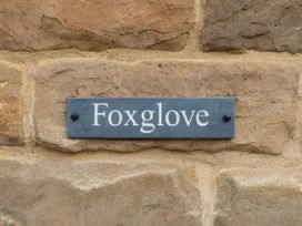 Foxglove - North Yorkshire (incl. Whitby) - 1095863 - thumbnail photo 3