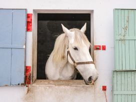 Bohans Barn - Westport & County Mayo - 1097294 - thumbnail photo 31