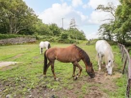 Bohans Barn - Westport & County Mayo - 1097294 - thumbnail photo 33