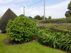 Lackaroe Cottage - South Ireland - 1108125 - thumbnail photo 28