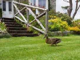 Drumrunie -  - 1110710 - thumbnail photo 43