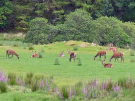 Achaglachgach Stables - Scottish Highlands - 1110732 - thumbnail photo 36