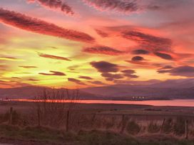 Skylarks -  - 1110761 - thumbnail photo 24