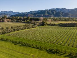 Rapaura Vineyard Escape - Blenheim Retreat -  - 1160599 - thumbnail photo 38