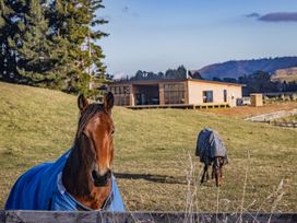 Taylor's Alpine Retreat - Ohakune Holiday Home -  - 1161175 - thumbnail photo 42