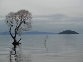 Lakefront Retreat - Lake Taupo Holiday Home -  - 1161781 - thumbnail photo 40