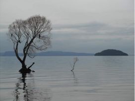 Lakefront Retreat - Lake Taupo Holiday Home -  - 1161781 - thumbnail photo 40