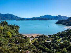 Nature's Luxury - Moetapu Bay Holiday Home -  - 1162756 - thumbnail photo 51