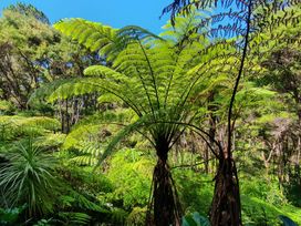 The Weka House - Kawau Island Holiday Home -  - 1164325 - thumbnail photo 14