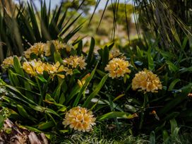 The Green House - Bay of Islands Holiday Home -  - 1164672 - thumbnail photo 55