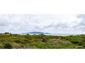 Hornbill Nest - Waikanae Beach Holiday Home -  - 1165430 - thumbnail photo 36