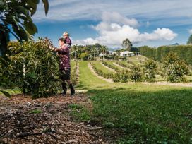 Avocado Orchard Escape Katikati -  - 1166896 - thumbnail photo 16