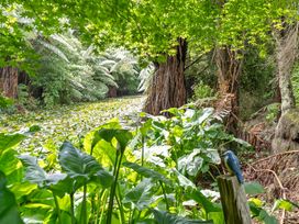 Oakura Pond Cottage - Oakura Holiday Home -  - 1166987 - thumbnail photo 44