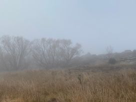 A foggy landscape with dry grass and leafless trees at A Place in Thyme - Alexandra Holiday Home in Alexandra