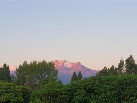 Maungatapu Studio 1 - Ohakune Holiday Home -  - 1171508 - thumbnail photo 8