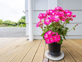 Maungatapu Studio 2 - Rangataua Holiday Home -  - 1171510 - thumbnail photo 6