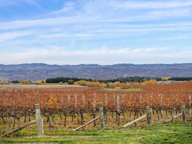 A vineyard with leafless vines and wooden posts with mountains in the background at Alex Vineyard Alexandra Holiday Home in Alexandra