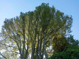Singlee - Turangi Holiday Home -  - 1178364 - thumbnail photo 21