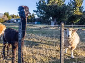 Taylor Lodge Adventure Base -  Erua Holiday Home -  - 1178671 - thumbnail photo 3