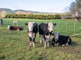 Four cows in a grassy pasture with a wooden fence at Rotorua, Rotorua