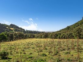 A landscape with grass and trees at Hill Cottage - Featherston Holiday Home Featherston