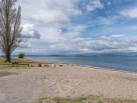 A beach with a tree and bench near the water at an unspecified location