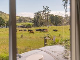 View of cows grazing in a field at Cozy Cottage - Whitianga Holiday Home Whitianga