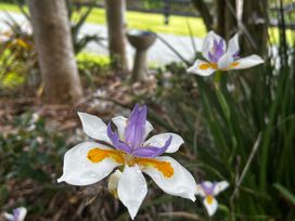 A garden with flowers at Black Dune in Waipu