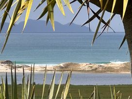 A view of the sea and mountains with plants in the foreground at Black Dune in Waipu