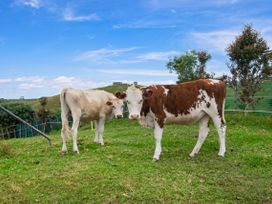 Two cows standing on grass with trees and a clear sky at Mania Views Waipu