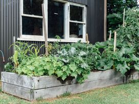 A garden with vegetable plants in a raised bed at Mangawhai Heads