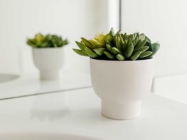 A plant in a pot on a counter in a bathroom at New Plymouth