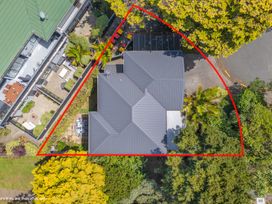 A house with a roof and patio surrounded by trees at The Bridge Bird Sanctuary - Auckland