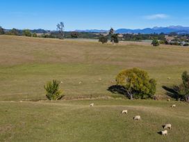 A field with sheep grazing and trees at Kettle House - Upper Moutere Holiday Home