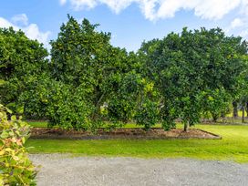 A view of fruit trees in a garden at Bayview Cottage - Whakamarama