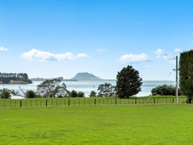 A view of water and a mountain with grass in the foreground at Bayview Cottage - Whakamarama
